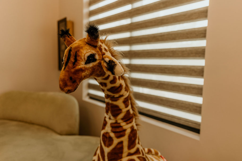 southern-smiles-interior-12